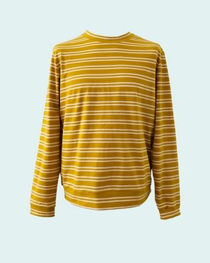 Bild Nähkursmodell Herrenpulli Pablo