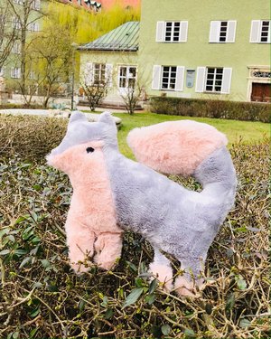 Bild Fuchs Friedrich in der Borstei