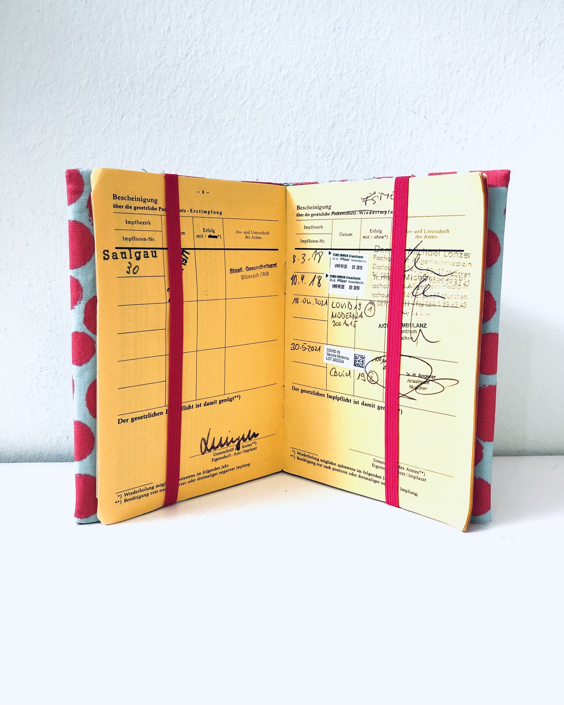 Umschlag für Impfpass Innenansicht Bild Umschlag für Impfpass Innenansicht