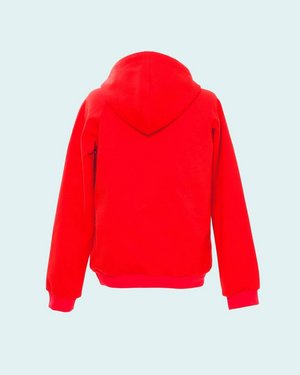 Bild Nähkursmodell Hoody Husum Rückansicht